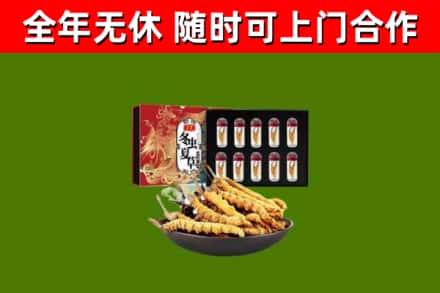武都区回收冬虫夏草价格