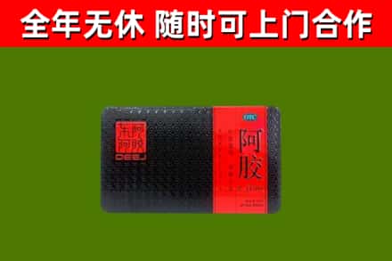 武都区回收阿胶