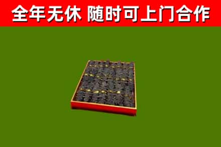 武都区回收海参